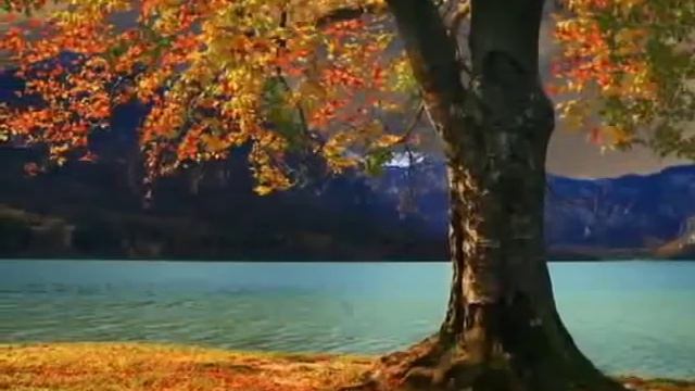 brak_po_lubvi.flv смотреть онлайн