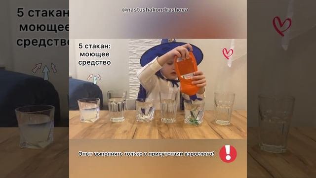 Детские эксперименты / Опыты с детьми / Краснокочанная капуста