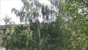 Москва, Район Хорошёво-Мнёвники. Мнёвниковская пойма