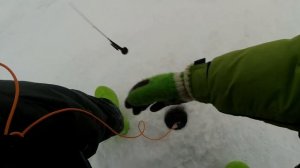 Ловлю на впайки! Классные поклевки окуня на блесну Клоп. Рыбалка на Ладоге в Кобоне