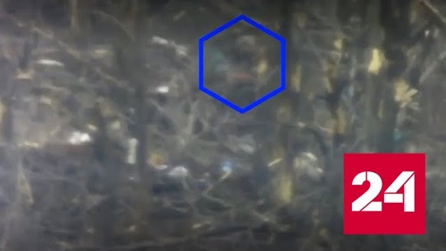 Работа российского снайпера попала на видео - Россия 24 