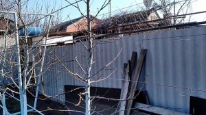 Персик и нектарин. Система веретено. Обрезка и формировка на третий год вегетации.