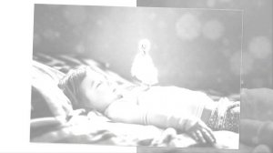 Красота окружающая нас.mp4