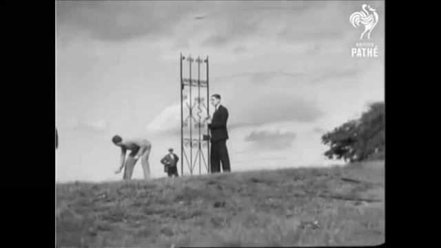 The world's greatest jumping dog смотреть онлайн