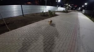 Краснодар КП Крепость. Здесь жить, или не жить? Каменные джунгли. Вечерний бульвар Любимово 2023