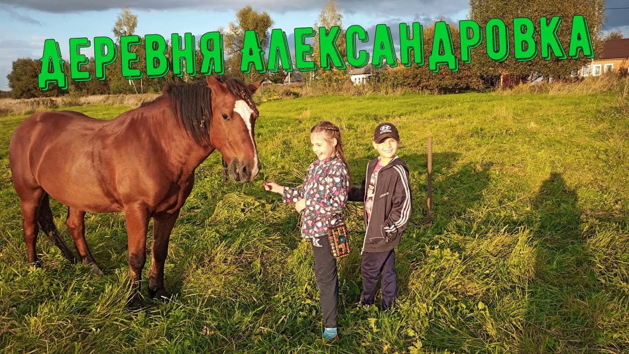 На выходные в деревню к родителям / Деревня Александровка