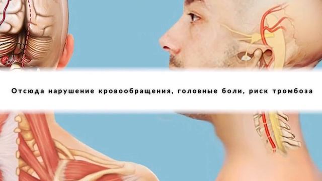 Всё хорошо в меру: почему молочные продукты могут пагубно влиять не только на щитовидку смотреть онлайн