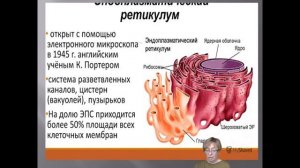 Строение клетки. Биология