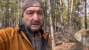 Охота на тетерева и глухаря . 2023 г.