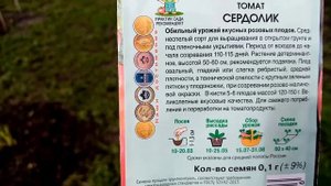 Помидоры "СЕРДОЛИК" сею на Рассаду в Теплице для Открытого Грунта 27 апреля 2022г.