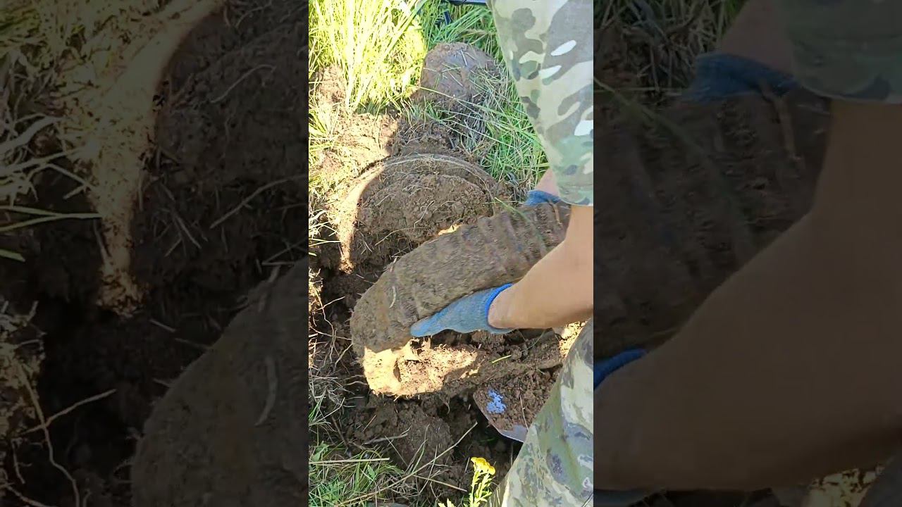 #Металлокоп Топ находка дня смотреть онлайн