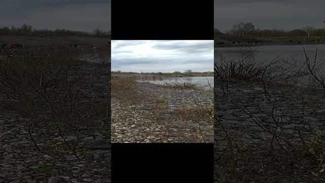  смотреть онлайн