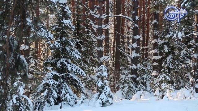 15 марта Федот Ветронос смотреть онлайн