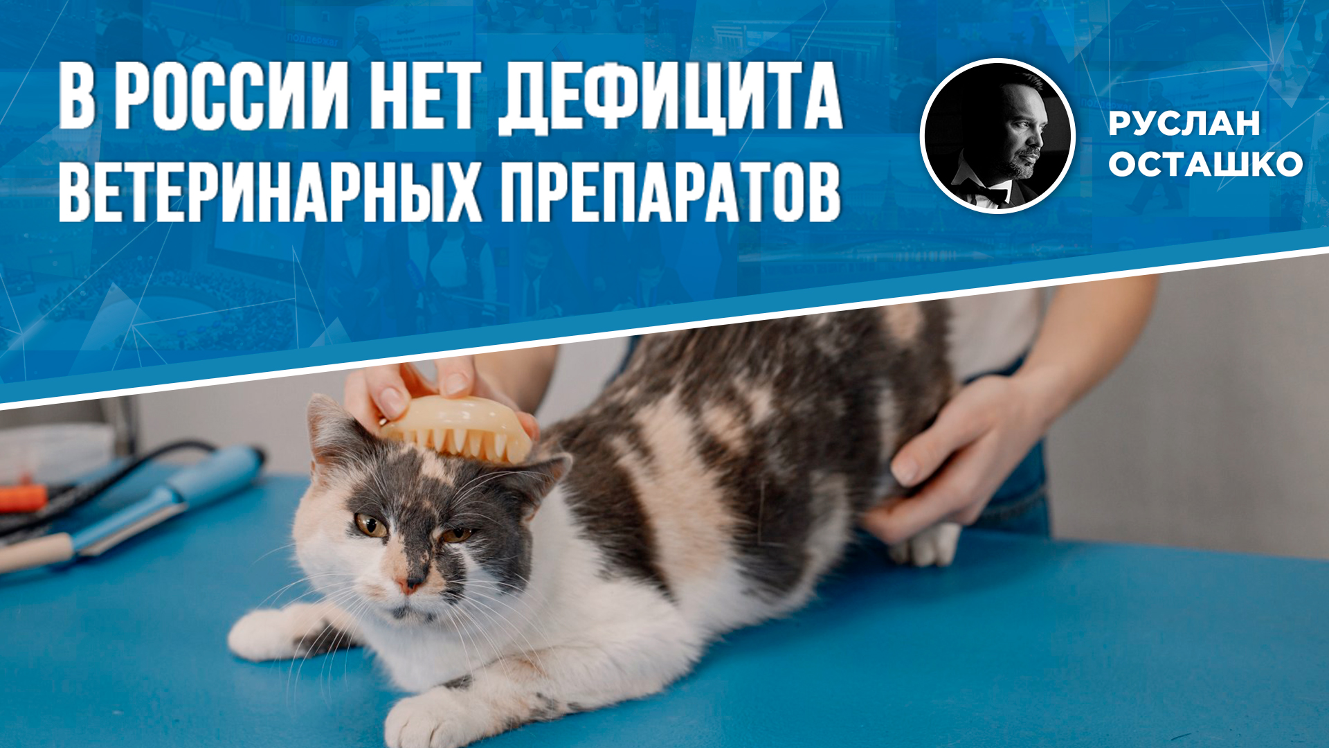 В России нет дефицита ветеринарных препаратов (Руслан Осташко)