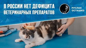 В России нет дефицита ветеринарных препаратов (Руслан Осташко)