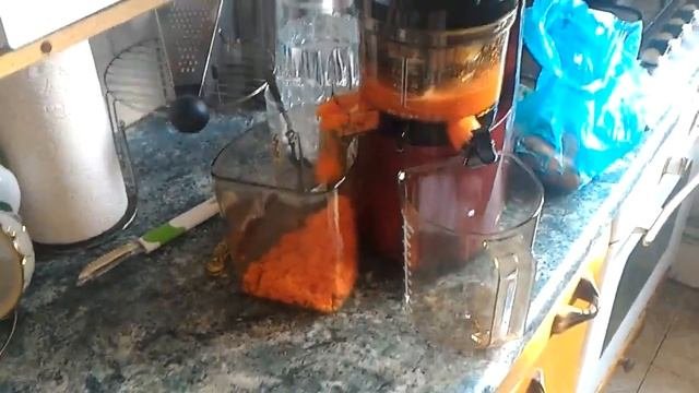 Шнековая соковыжималка