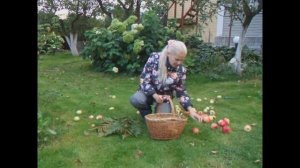 Как сохранить битые яблоки