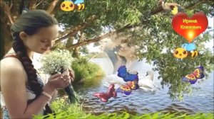 Abror Filar - Ива.