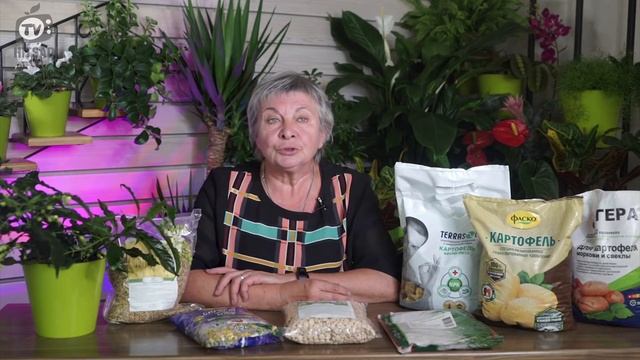 Лучшие Сидераты после картофеля осенью | Как сеять #сидераты под зиму смотреть онлайн