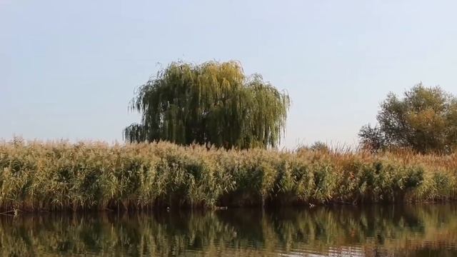 МОЯ РЕТРОСПЕКТИВА: БАЙДАРКА #2 смотреть онлайн