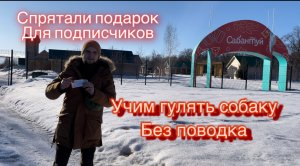 Гуляем без поводка