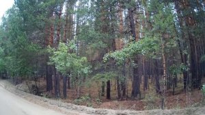 В одиночку на велосипеде вокруг Обского моря.Часть 4.Песчаная дорога.Завершение!!!