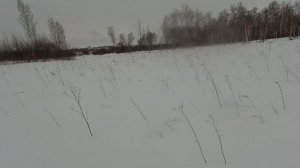Охота на СИБИРСКУЮ КОСУЛЮ. Закрытие сезона. Зимний лес. МЦ 21-12.