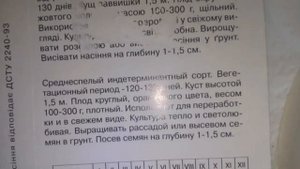 ТОМАТ ГИГАНТ ЛИМОННЫЙ Обзор по просьбам зрителей
