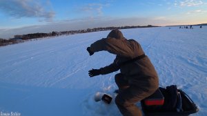 ТРОФЕЙНЫЕ СУДАКИ НЕ ЛЕЗУТ В ЛУНКУ и РВУТ ЛЕСКИ! Ловля крупного судака. Зимняя рыбалка 2023, Волга