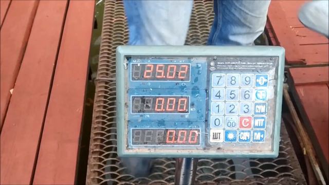 Клёвое место. Лосиный остров. Зарыбление нижнего пруда осетром. смотреть онлайн