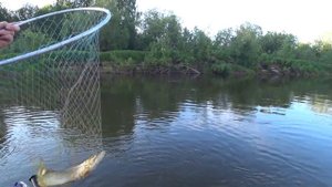 Рыбалка на спиннинг с ночевкой на Вишере.