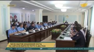 Число фактов незаконной охоты на сайгаков выросло почти в два раза  Хабар