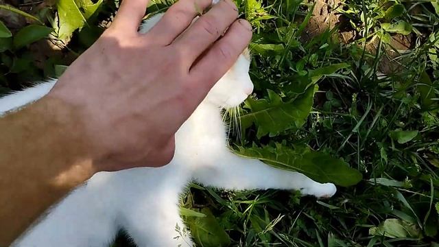 Наконец-то приехал к брату,здесь весело. смотреть онлайн