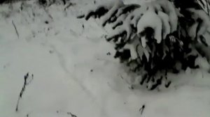 Бурзянский район Башкирия. Дети  Идут в школу с топором.