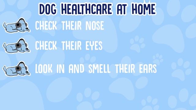 Dog Healthcare Checklist! смотреть онлайн
