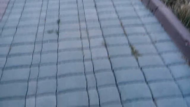 Серый кот или прогулка с серым смотреть онлайн