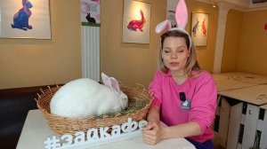 ЧЕМ КОРМИТЬ КРОЛИКА | СОТАВЛЕНИЕ РАЦИОНА КОРМЛЕНИЯ ДЛЯ КРОЛИКА | КАК ПРАВИЛЬНО КОРМИТЬ КРОЛИКА