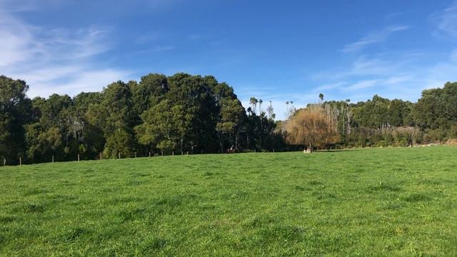 Rip Van Winkle x Valentine Secret and Per Incanto x Luscious Lass August 2020 pt2. смотреть онлайн