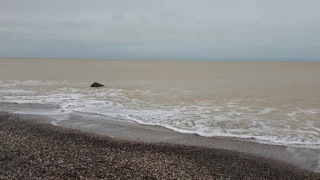 COORDINATION AND TACTICAL COMBINATIONS WITH BEBUTS смотреть онлайн