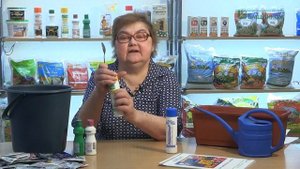 Препараты 'Фитоспорин М РеаниматоР' и 'Фитоспорин М ЗОЛОТАЯ ОСЕНЬ'