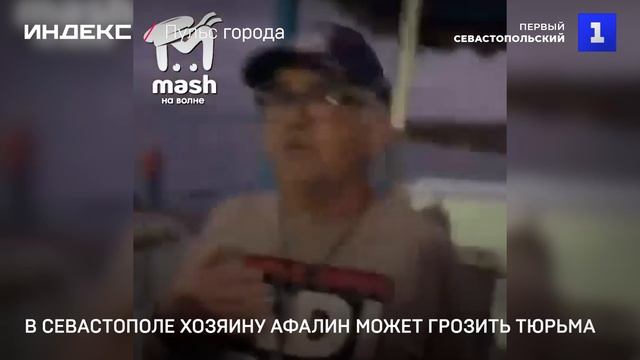 В Севастополе хозяину афалин может грозить тюрьма