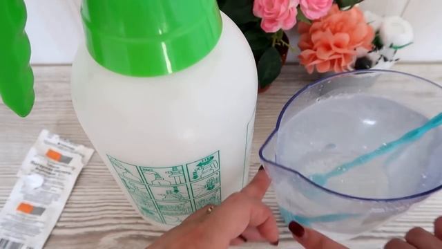 СУПЕР-ПОДКОРМКА для растений ВСЕГО за 4 РУБЛЯ