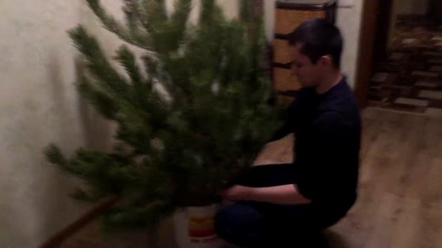 Как не надо ставить ёлку | Ниндзя смотреть онлайн