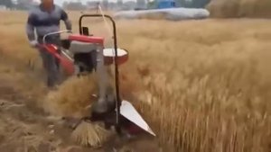 Китайский комбайн Такого Вы не видели