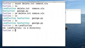 010 Terminal Crash Course Deleting Files & Folders