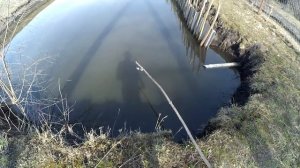 Рыбалка на ПАУК (ПОДЪЁМНИК, ХАПУГУ) в СОБСТВЕННОМ ПРУДУ !!!