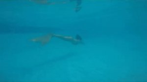 Плавание в ЗОЛОТОМ хвосте русалки! Хвост русалки золотого цвета от Happy Ocean