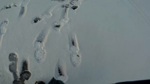 Старый балансир РАПАЛА спас рыбалку!!! Ловля щуки на балансир Рапала.