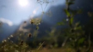 2020 BMW R 1250 GS Adventure - Promotion Movie