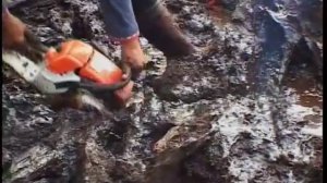 Коряги для аквариума